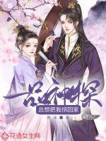 一品神探吧